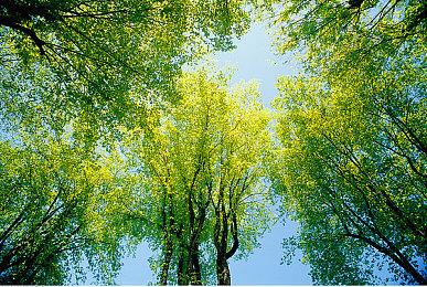 一人开发的恐怖动作RPG《埃斯滕塞尔》2023年1月登陆Steam